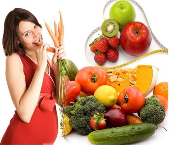 PRIMER TRIMESTRE (Semana 1 a 12) ALIMENTACIÓN