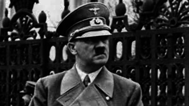 Adolf hitlers rise to power in germany