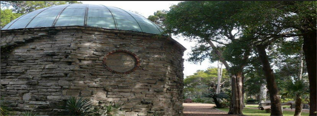 Visited the Fountain of Youth