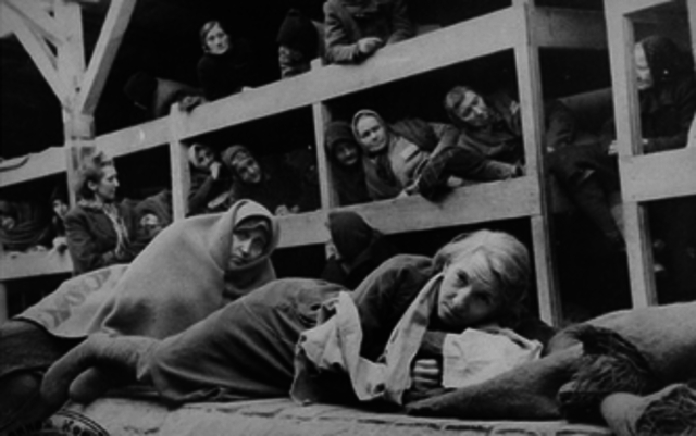 Auschwitz Camped opened