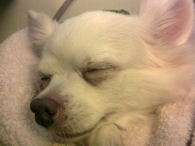 Pain and Tears, moments of life