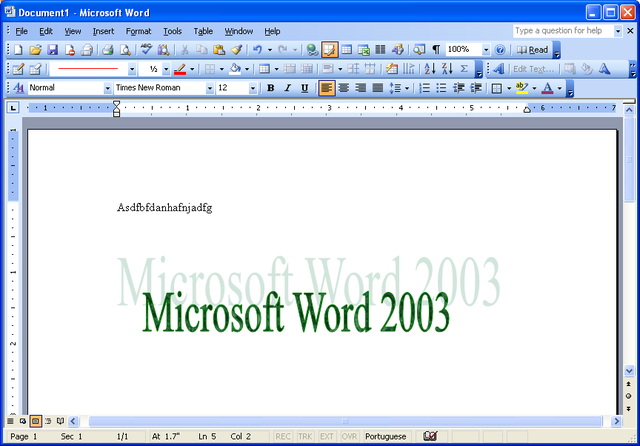 word 2003