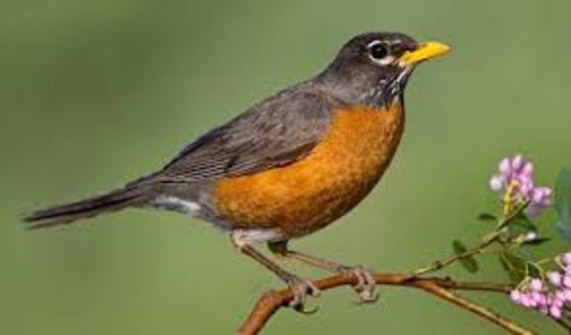 1634,wisconsin state