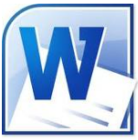 word 2010