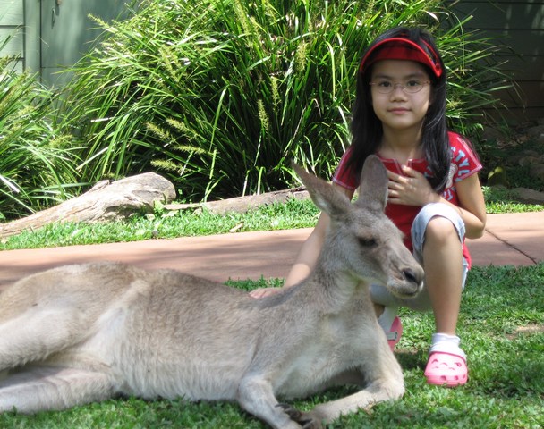 Nice to meet you, Mr Aussie Koala