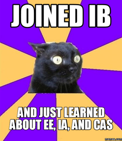 Trabajaré en mi EE y no morir porque eso