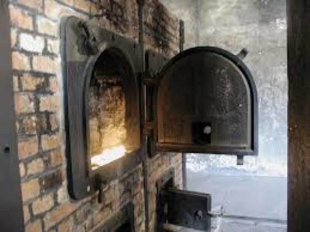 Crematoriums are first invented