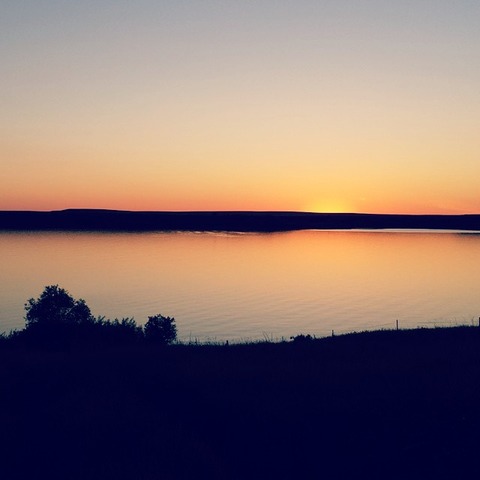 Beginning of the Unit Video