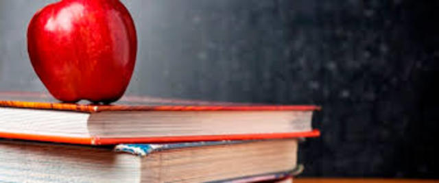 Estructura académica