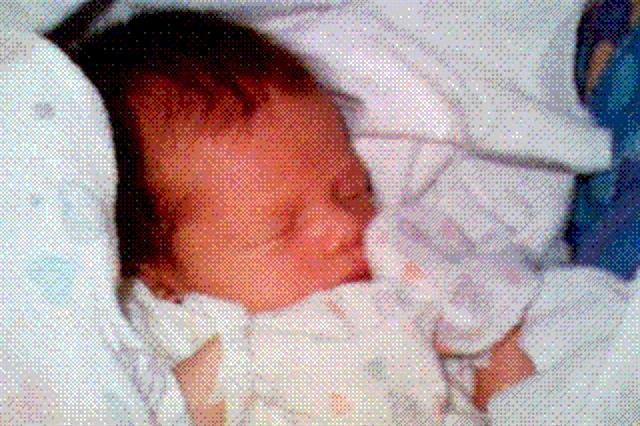 La primera fotografía con la cámara de un teléfono