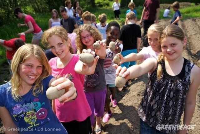 Typical Student Behaviors Ages 11-13