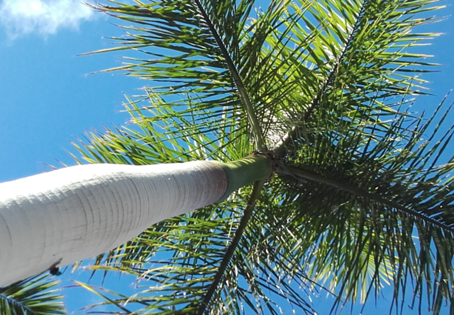 Des vacances bien méritées???