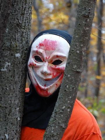 The Haunted Forested