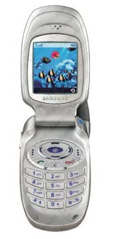 Samsung SGH-100