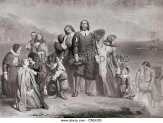 The rise of Pilgrims