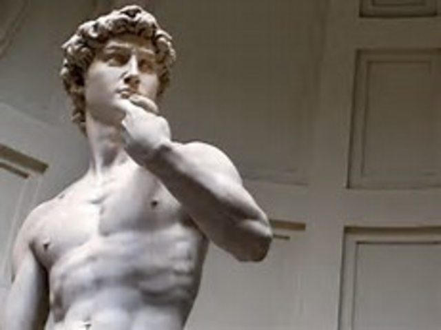 Michelanelo finished