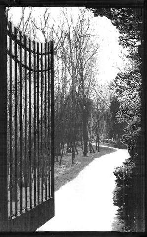 Right To Die Society