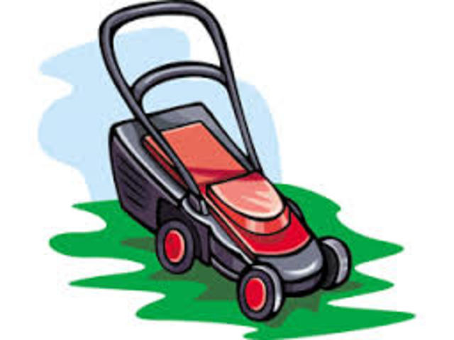 Started Mowing Lawns for money