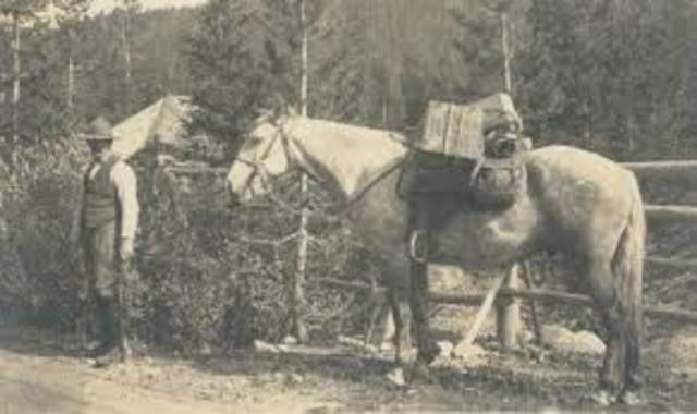horse, mule, and packhose