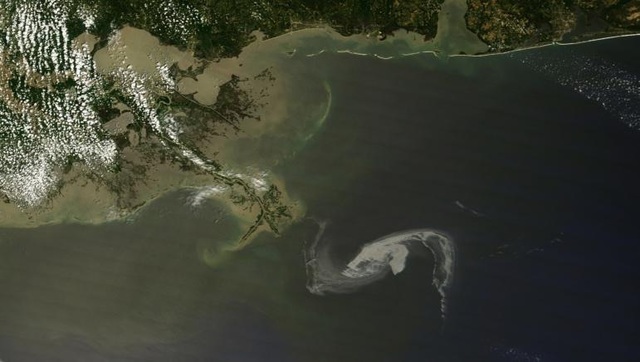 Oil begins to appear on the shore of Louisiana