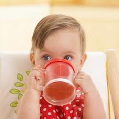 Holds and drinks from a cup