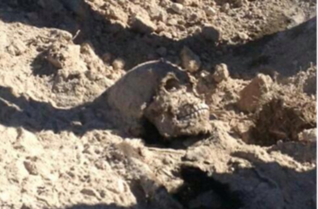 El hombre de cedral.