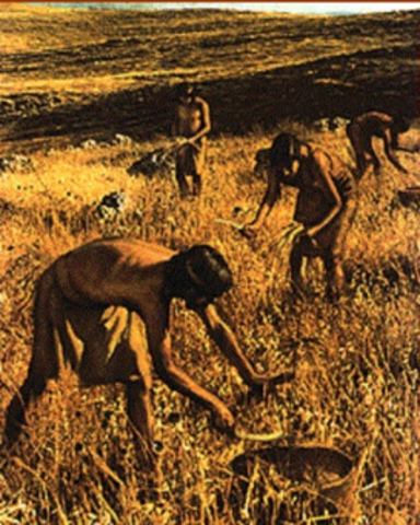 El origen de la agricultura mexicana.