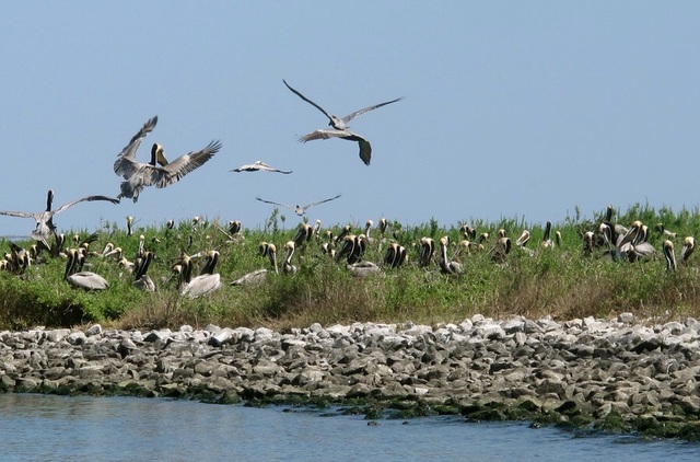 BP Well " poses no further risks"