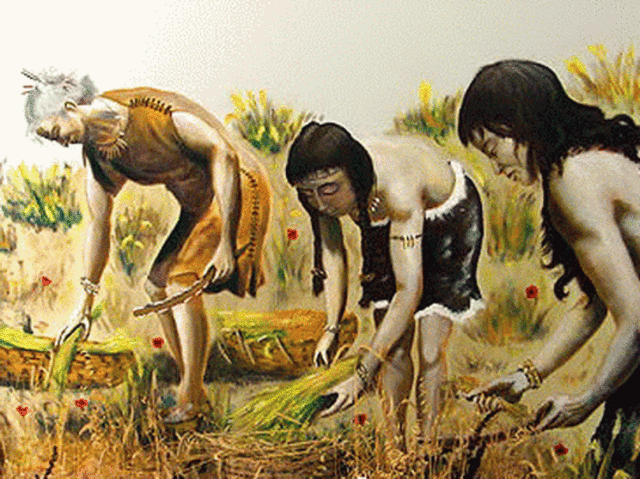 Inicio de Agricultura en Civilizaciones 5000 AC