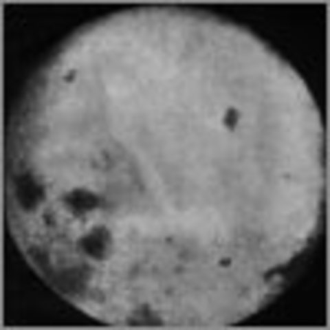 New Target: First On The Moon