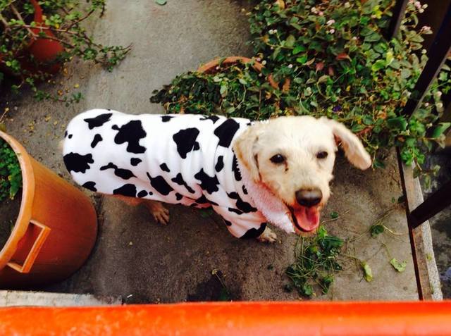 NEW MEMBER OF THE FAMILY