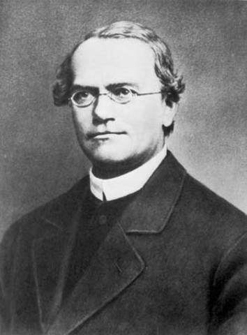 Gregor Mendel's discoveries start the science of genetics