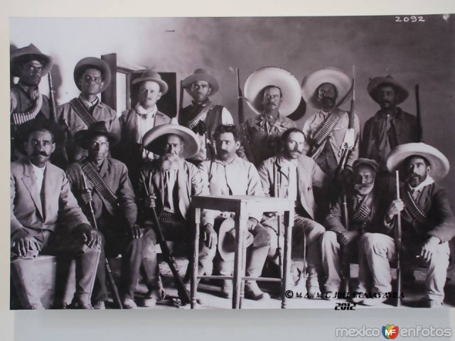 revolucion de los chiguaguas