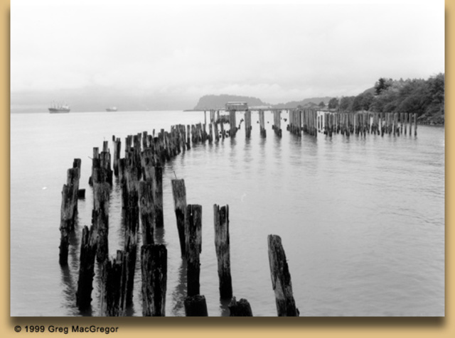 Very Remarkable Point--Tongue Point, in the Columbia's Estuary