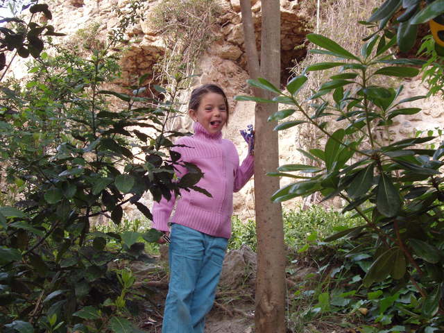 I travelled to Italy