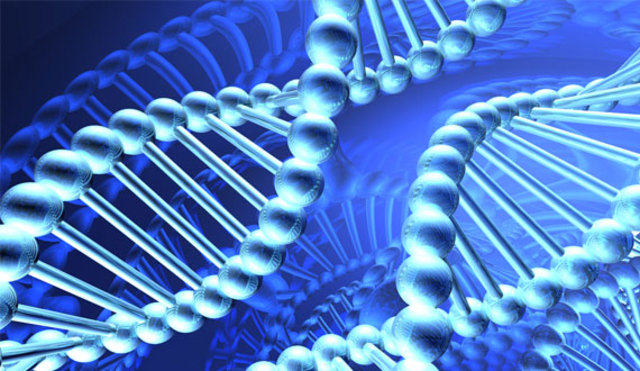 Artificial DNA