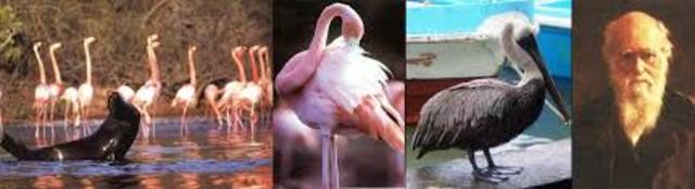 el Ecuador toma posesion del Archipielago de Galapagos