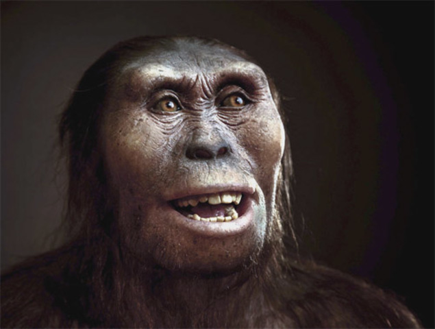 Australopitecus afarensis