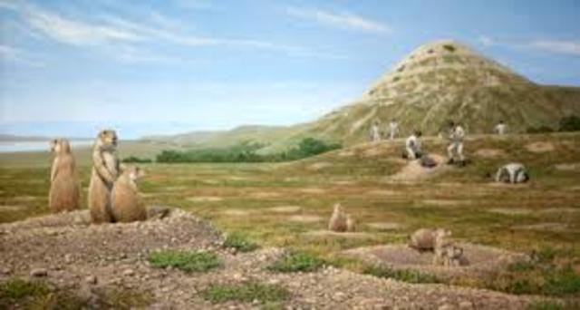 Sees unknown plants and animals in the eastern United States