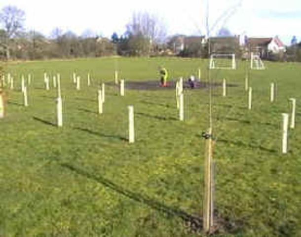 Planting of the Grove
