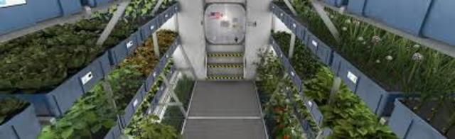 First food grown and eaten in space
