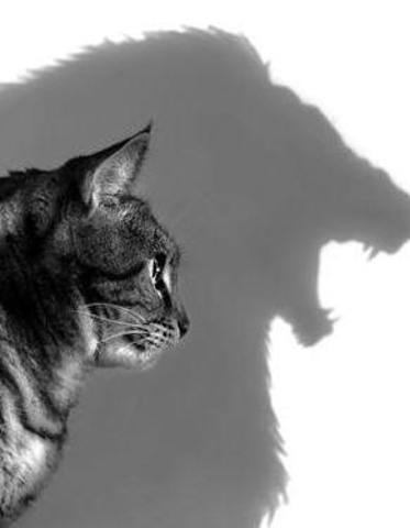 Album Cover #1: Not Hiding Any More