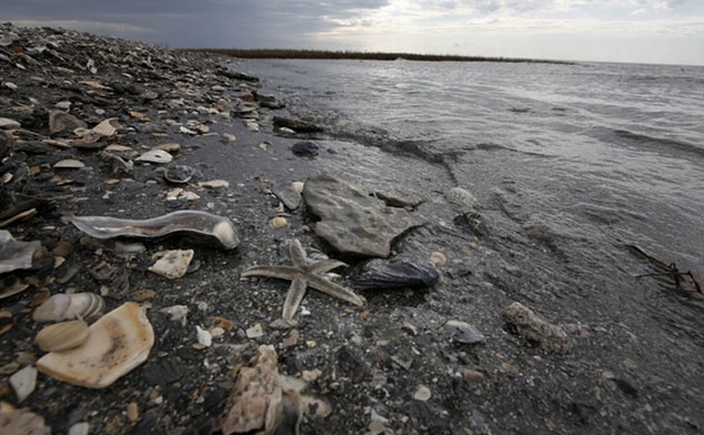 US bans new drilling in Gulf of Mexico.
