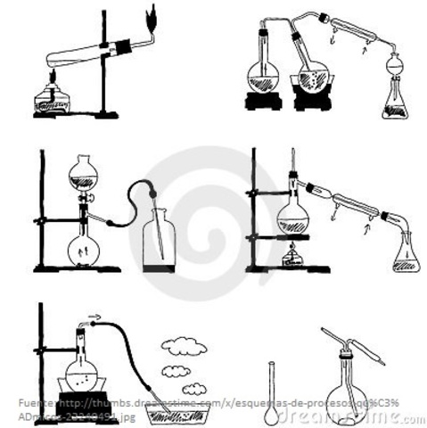 Definicion de la rama