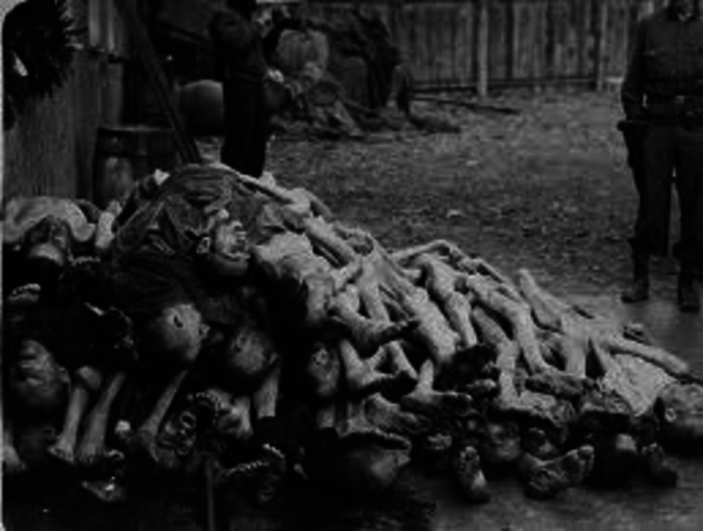 liberation of concentration camps