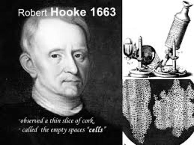 Robert Hooke  d.c