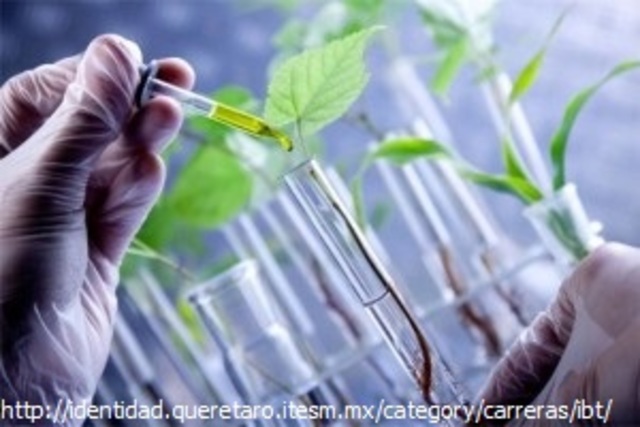 Ingeniería química en el futuro