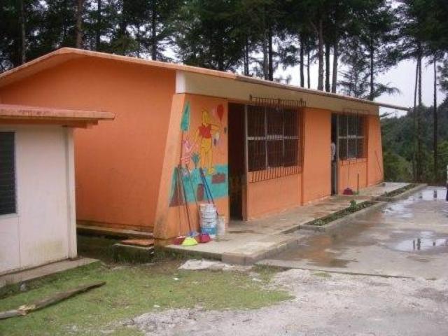 "8.2 School Transitions"