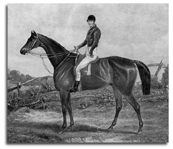 First Grand National Steeplechase