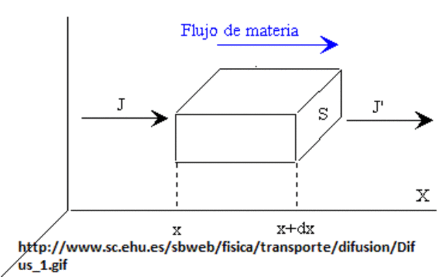 Aparición de los Feómenos de Transporte.